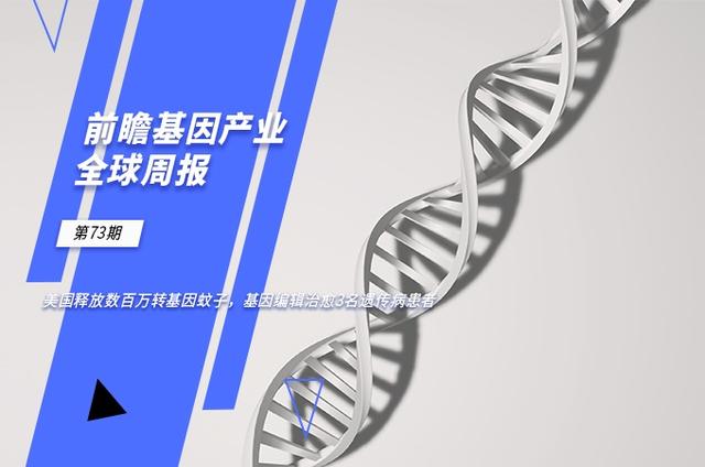 前瞻基因产业全球周报第73期：美国释放数百万转基因蚊子，基因编辑治愈3名遗传病患者