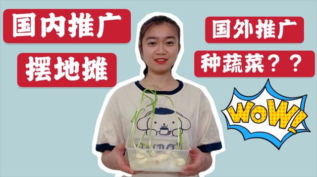 新加坡全民种菜热潮来袭，小妹响应号召，准备种盆栽然后吃掉