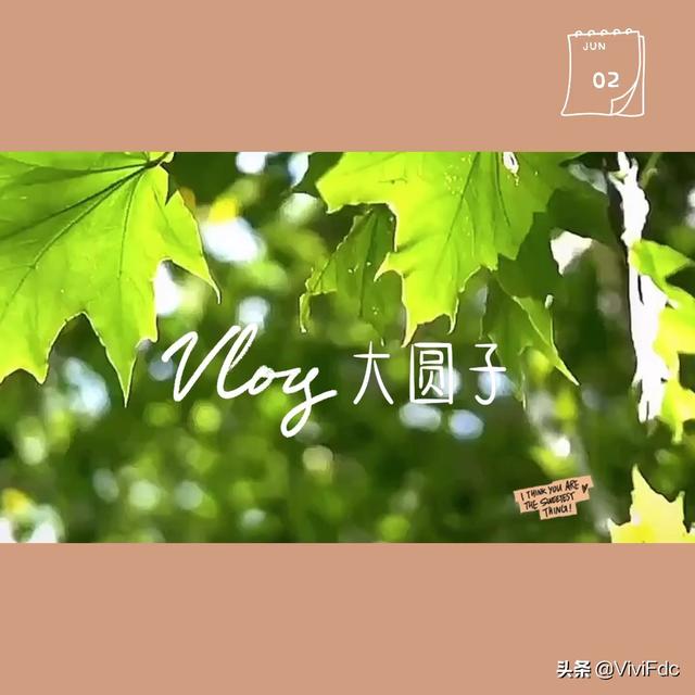 新加坡｜疫情解封第一天