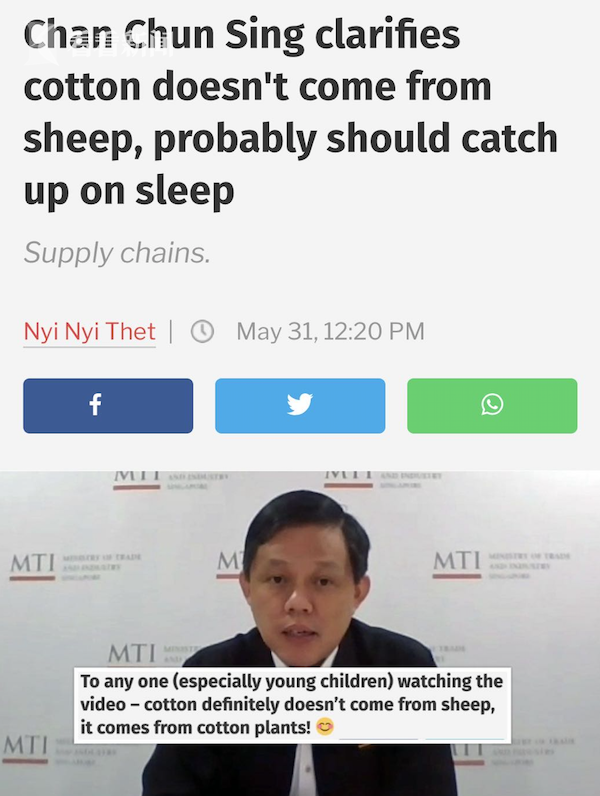 棉花来自绵羊？新加坡部长发言时出现神奇口误