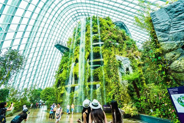 新加坡最漂亮的植物园长什么样？居然还在室内建了个瀑布