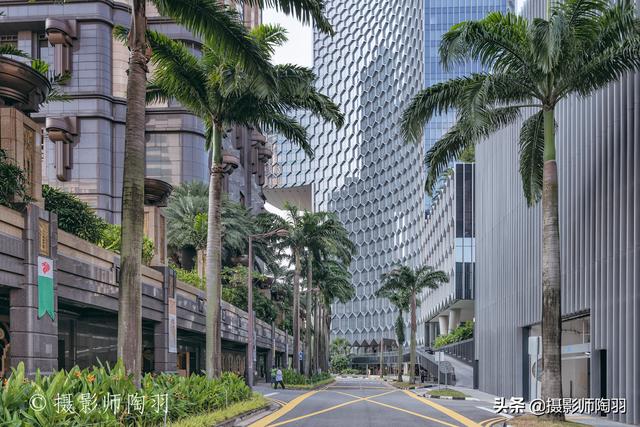 狮城美景｜花园城市新加坡的“未来感”
