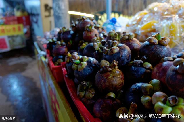 东南亚，新加坡历史、政治、经济学之序言（三十五）