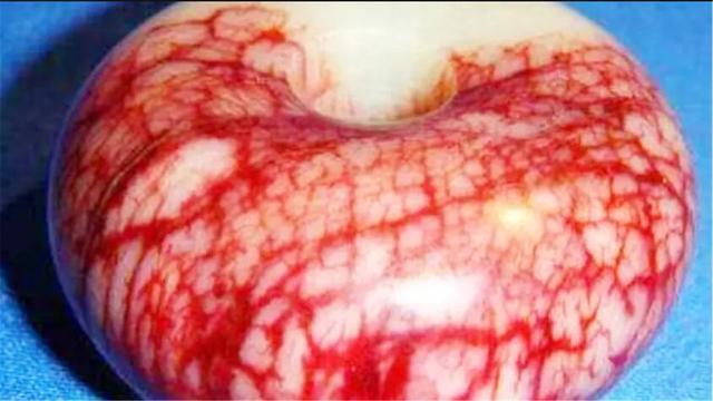 马未都：将普通玉石塞进活羊身体，3年后取出，就可得天价血玉