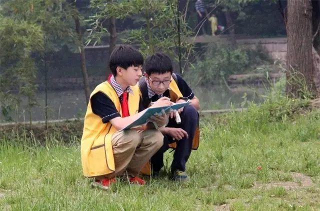 浙江杭州最难进的七所学校，成绩一个比一个辉煌，厉害了