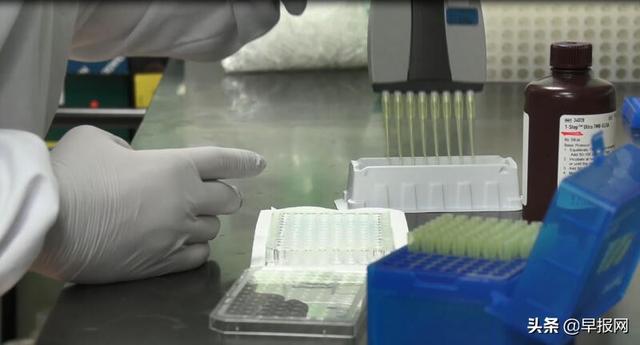 新加坡发现五种来自康复者抗体 研发更有效冠病药物