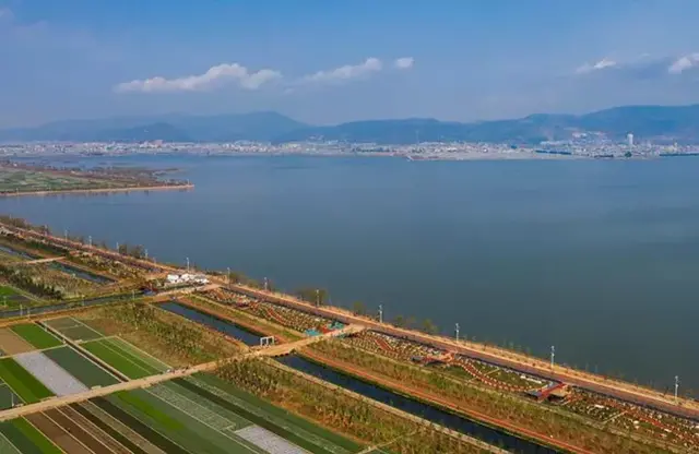 丰收中国万里行之云南通海丨探访秀丽小城，让中国鲜花绽放世界