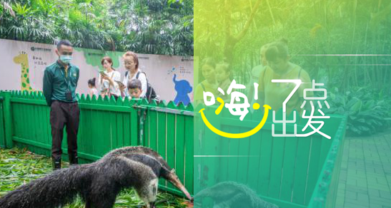 美国限制部分中国留学人员赴美学习 教育部：坚决反对将留学交流政治化和污名化｜嗨！七点出发