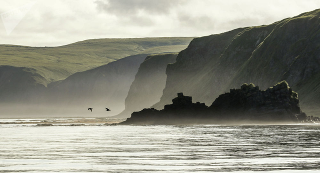 日本专家：应强行索要北方四岛！本国网友：你醒醒吧