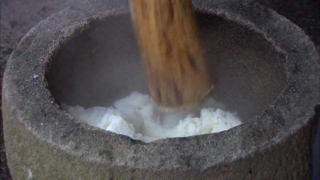 新加坡综艺《我的导游是明星9》宁波004：慈城