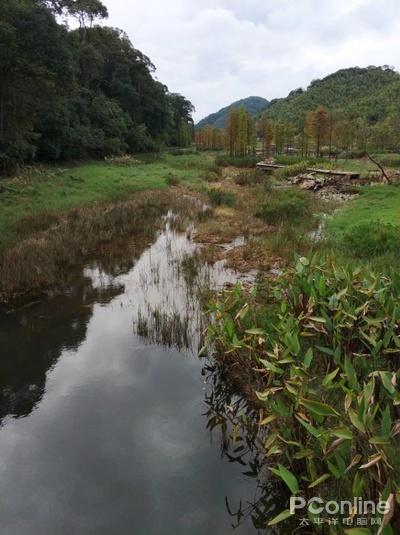 和AI去码一样神奇？AI上色是黑科技还是逗你玩