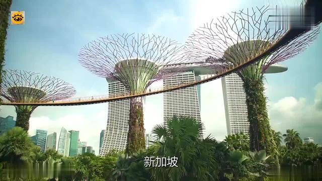 新加坡以环境优美，绿化丰富闻名 人造森林为城市增加了绿化