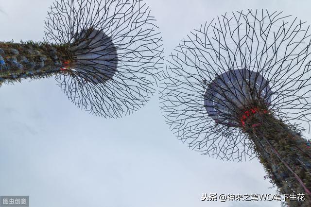 东南亚，新加坡历史、政治、经济学之序言（十三）