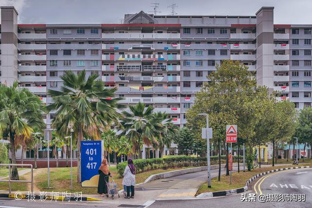 狮城美景｜花园城市新加坡的“未来感”