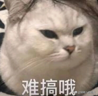 迷惑…为什么老这么假呢？