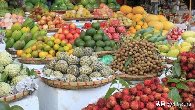 越南水果走向世界市场，欲摆脱对中国市场的过度依赖