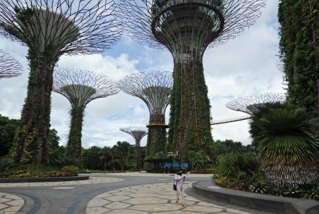 新加坡全面重启经济，进一步放宽中国人赴新旅行门槛