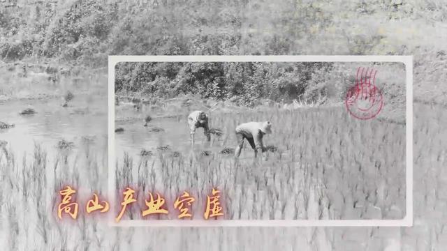 奉节县新民镇以特色产业破题中高山发展困局