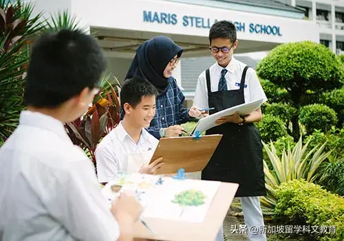 新加坡留学 | @初三学生！中考后免费留学！！赶紧准备了