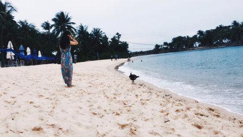 Day6.新加坡圣淘沙海滩🏊+海底世界🐟