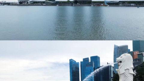 新加坡自由行全攻略！！景点这一篇就够了！