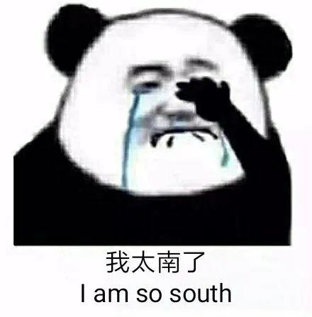 那个中英文混着say的留学生，这篇文章是不是在说you？
