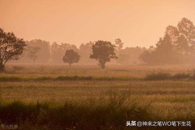 东南亚，新加坡历史、政治、经济学之正文（六十一）