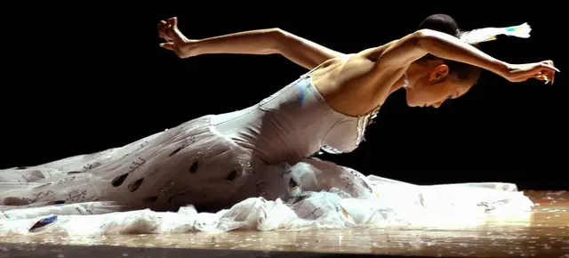 别再傻傻地骂杨丽萍们