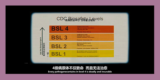 这个曾经让人闻风丧胆的病毒，又回来了？