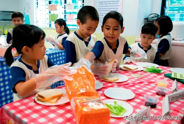 在厨房里学习？新加坡小学的“神操作”原来是因为...