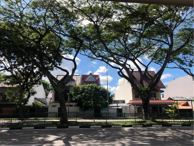 疫情下的新加坡公园