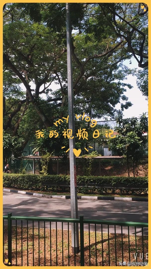 新加坡出海游记