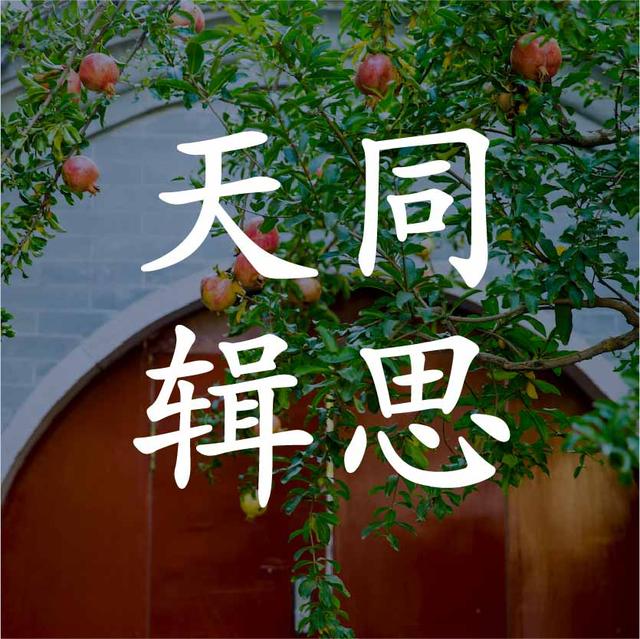 跨境庭审中的“美食漫谈”｜天同辑思