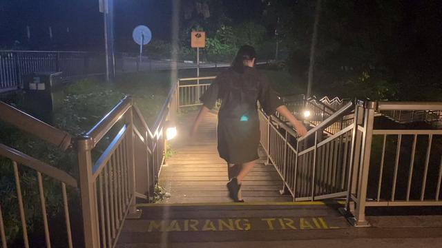 新加坡的花柏山