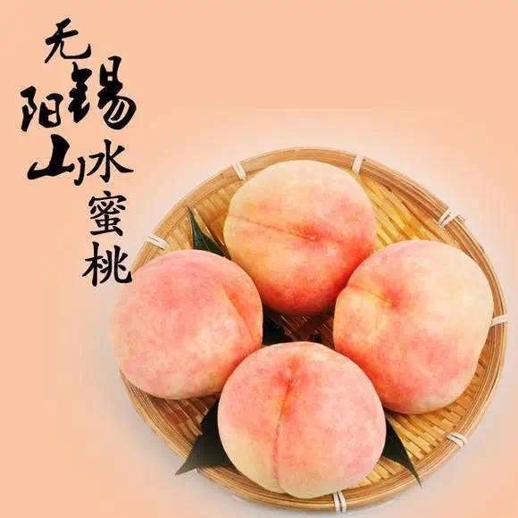“甜蜜产业”年产值15亿元 桃农人均收入5万元 阳山水蜜桃发力保“丰产”稳“增收”