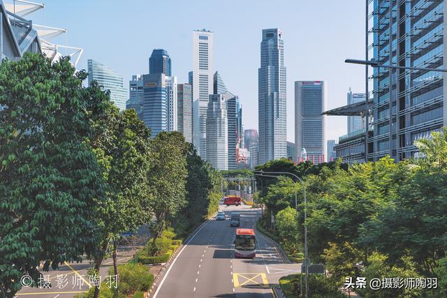 狮城美景｜花园城市新加坡的“未来感”