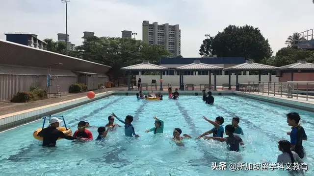 在厨房里学习？新加坡小学的“神操作”原来是因为...