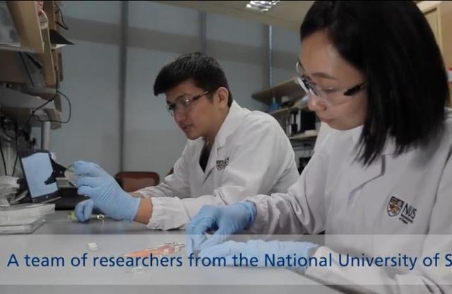 科学家研制出新型可拉伸材料：能发光 可自愈