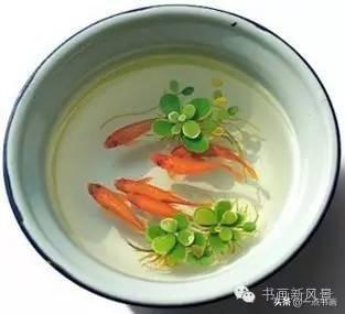 这是画，超级写真的3D画，信不信由你