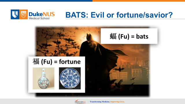 王林发：盘点近25年来，“超级病毒”为何多数源于蝙蝠？