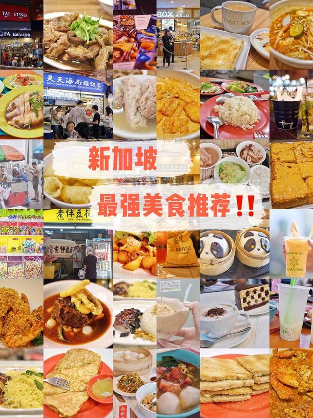 新加坡最强美食攻略｜必吃必吃  1、松发肉骨茶：松发肉骨茶是我在新加坡的最爱。既便宜又能享受不错的服务！排骨很大只，汤底很浓，重点是他家的汤可以无限次数“续杯”。 . 2、天天海南鸡饭：传说新加坡最好