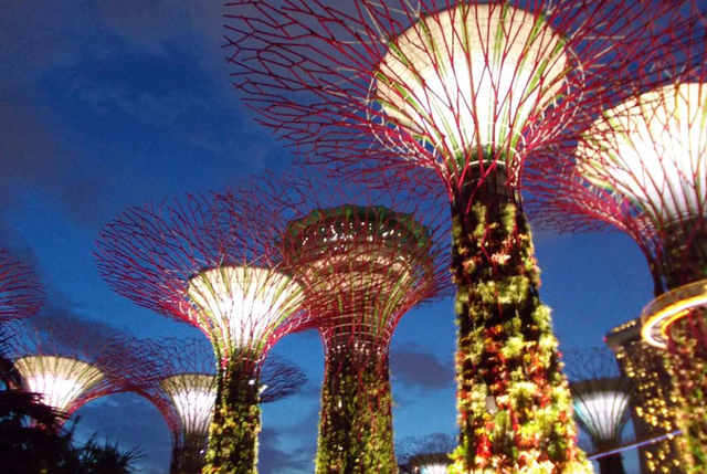 新加坡十大网红打卡景点