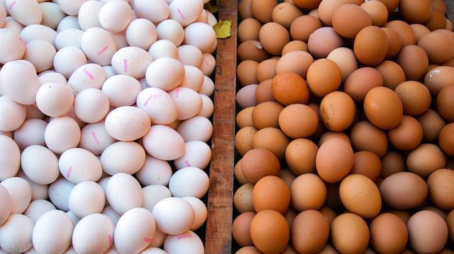 供应过剩 无价无市 新加坡丢掉20万枚鸡蛋