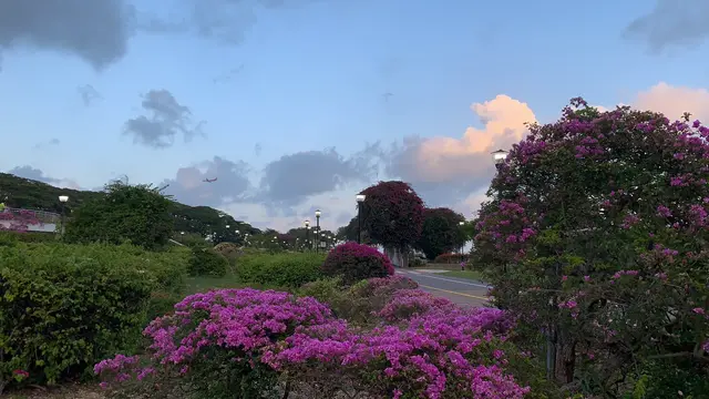 新加坡阻断期间的宅家生活