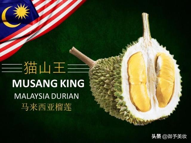 吃过马来西亚的榴莲吗？“猫山王”和“猫山后”是什么？