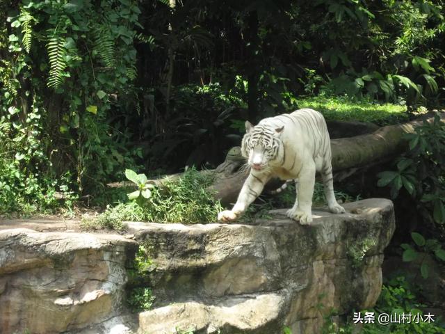 新加坡美丽图集