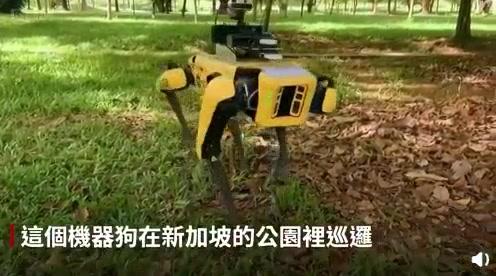 新加坡防疫出新招，一只机器狗在公园巡逻提醒人们保持社交距离…