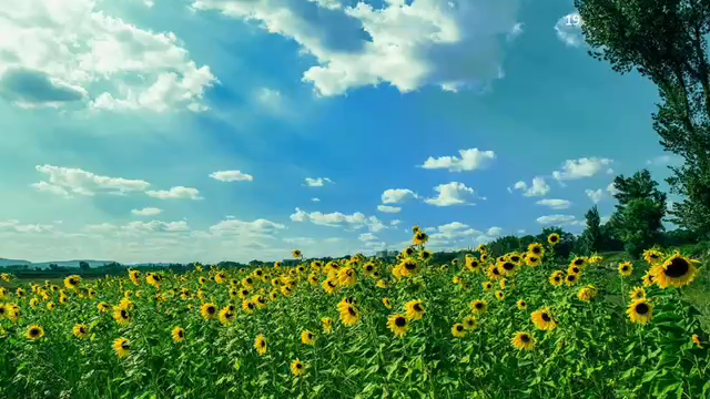 新加坡八姐妹华夏游之二