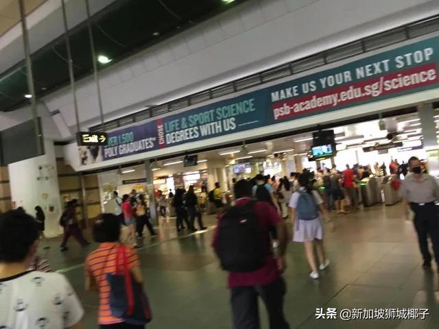 新加坡解封首个周末，22起交通事故！野鸡闯入地铁站
