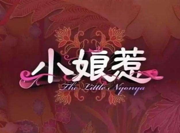 😆新加坡版大长今《小娘惹》大家看过吗！！！！！！！！！意难平